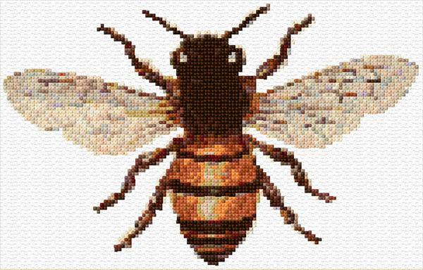 Bee Cross Stitch Designs - Simple Bee Cross Stitch Pattern