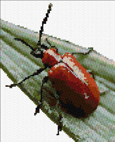Beetle On Leaf Cross Stitch Designs - Vw Beetle Cross Stitch Pattern