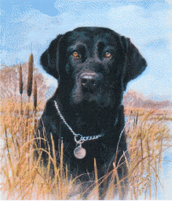 Black Lab Cross Stitch Pattern Cross Stitch Patterns - Yellow Lab Cross Stitch Pattern