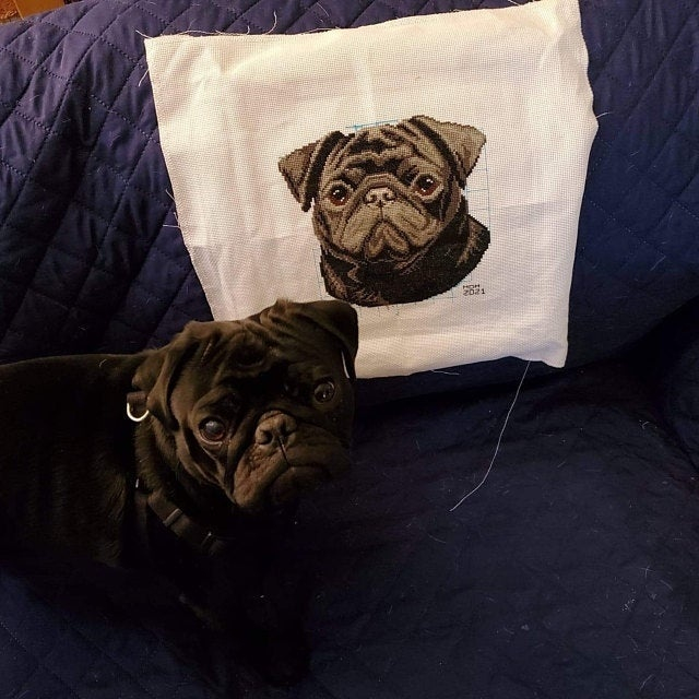 Black Pug Cross Stitch Pattern Code AN 088 Anna Nolfina Buy Online  - Black Pug Cross Stitch Pattern
