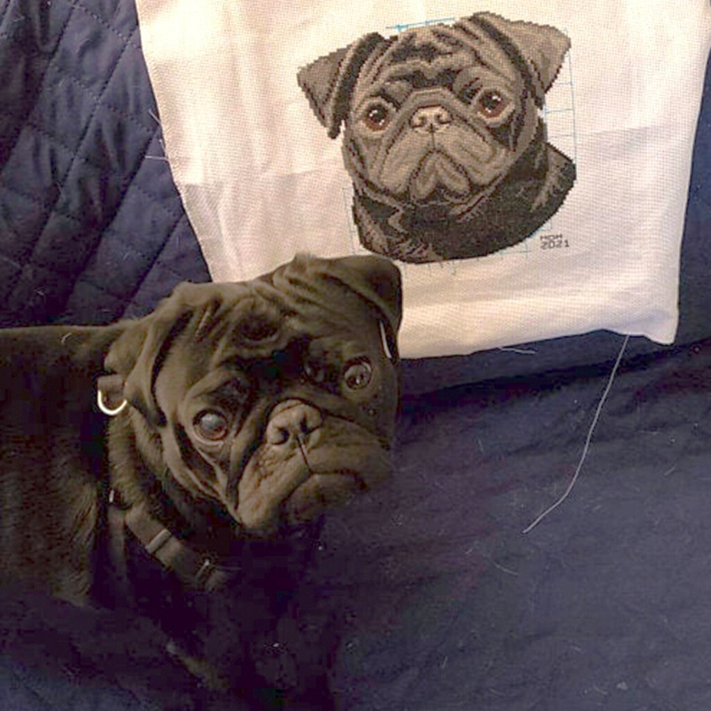Black Pug Dog Counted Cross Stitch Pattern Pdf Modern Pet Etsy - Black Pug Cross Stitch Pattern