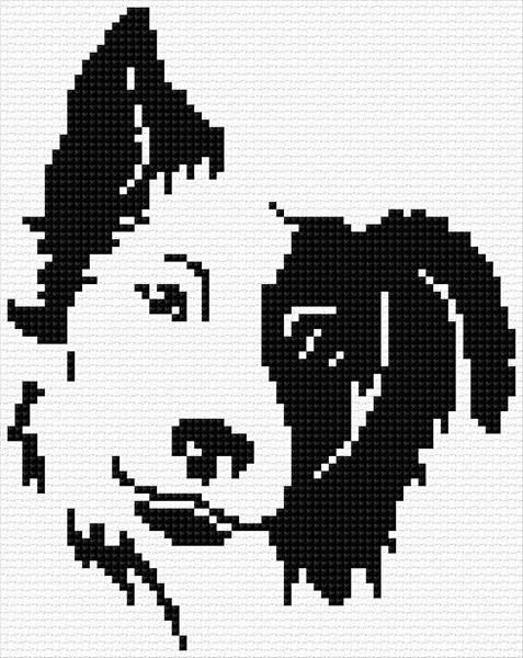 Border Collie Cross Stitch Designs - Border Collie Cross Stitch Pattern