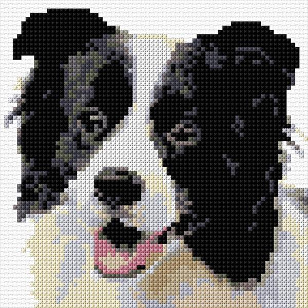 Border Collie Cross Stitch Designs - Cross Stitch Patterns Border Collie