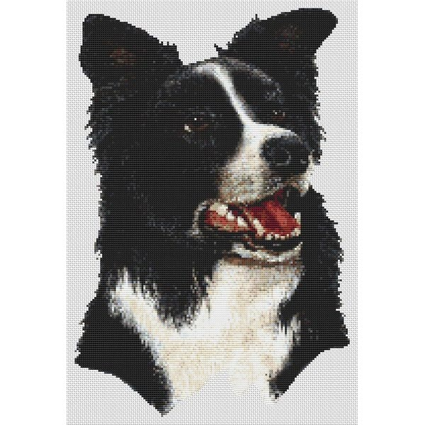 Border Collie Cross Stitch Pattern III DogShoppe - Border Collie Cross Stitch Pattern