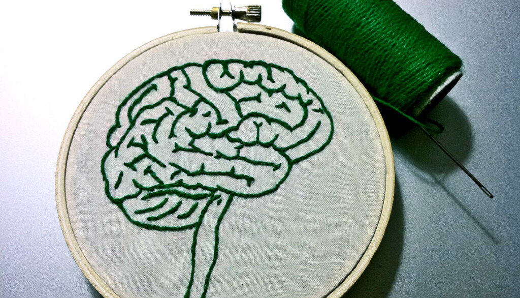 Brain Cross Stitch Pattern Cross Stitch Patterns - Brain Cross Stitch Pattern Free