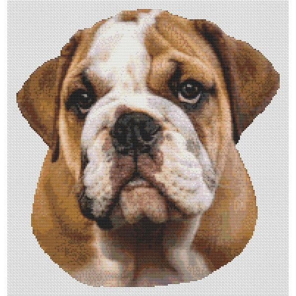 Bulldog Cross Stitch Pattern II DogShoppe - Georgia Bulldog Cross Stitch Patterns