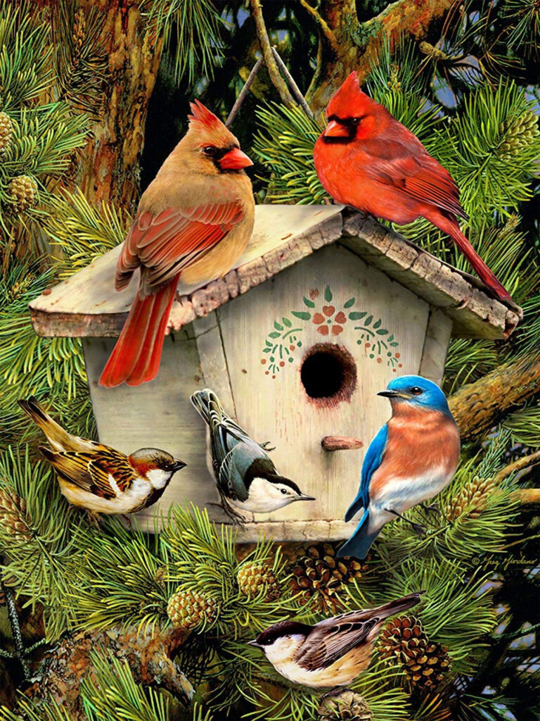 Cardinal Cross Free Pattern Stitch Patterns For You - Free Cross Stitch Cardinal Pattern