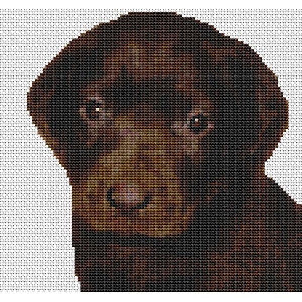 Chocolate Lab Cross Stitch Pattern DogShoppe - Chocolate Lab Cross Stitch Pattern