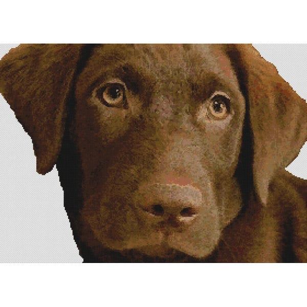 Chocolate Lab Cross Stitch Pattern II DogShoppe - Chocolate Lab Cross Stitch Pattern