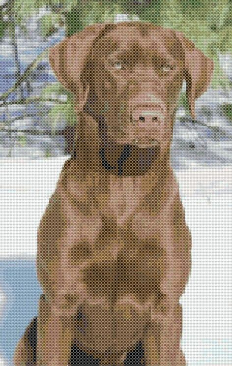Chocolate Lab Cross Stitch Pattern Pattern Keeper Cross Stitch  - Chocolate Lab Cross Stitch Pattern