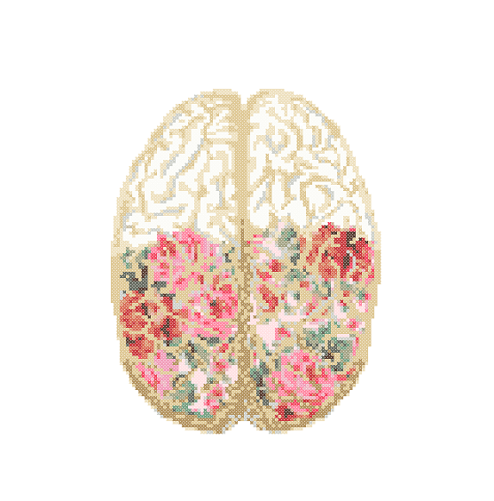 Floral Anatomical Brain Cross Stitch Pattern Cross Stitch Floral Brain  - Brain Cross Stitch Pattern Free