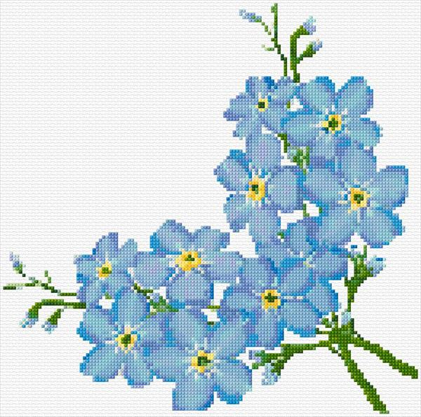 Forget Me Not Cross Stitch Designs - Forget Me Not Cross Stitch Pattern