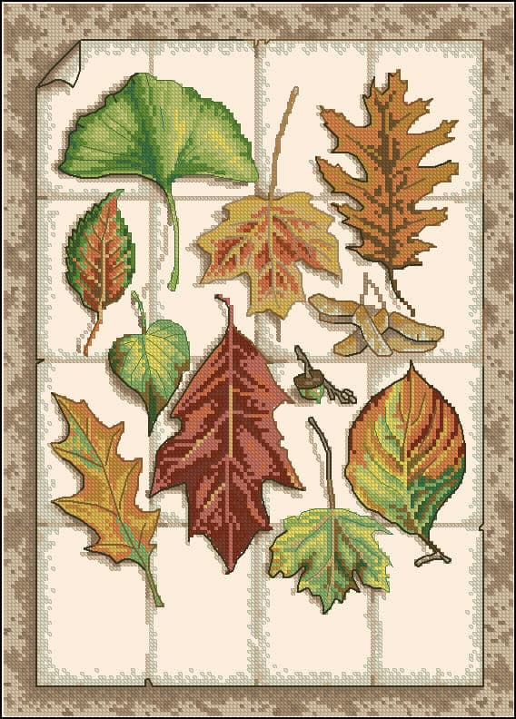 Free Cross stitch Pattern Autumn Leaves Free Cross stitch Patterns - Fall Leaves Cross Stitch Pattern