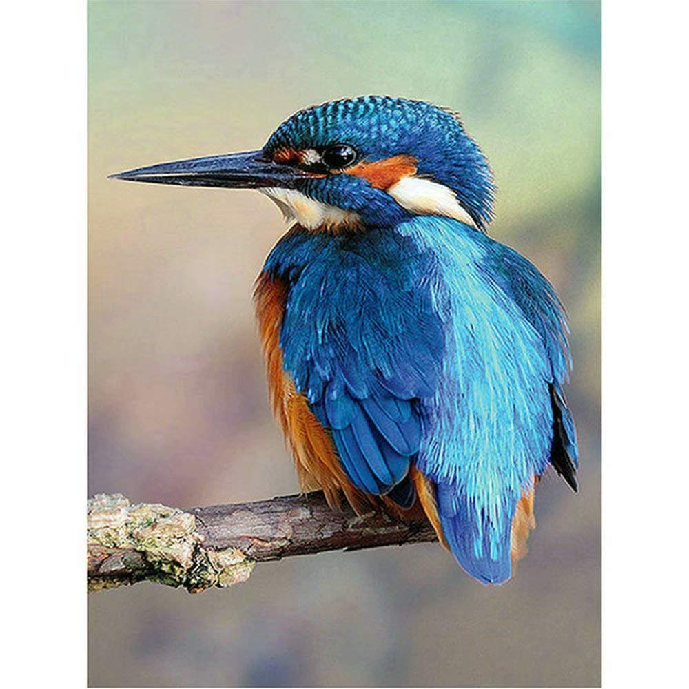 Free Cross Stitch Patterns Birds Free Patterns - Free Cross Stitch Patterns Birds