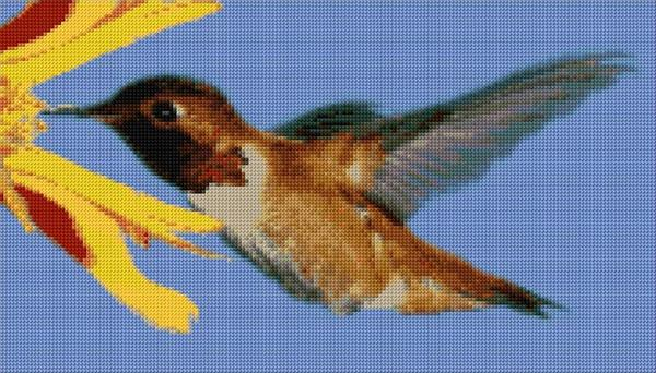 Hummingbird Cross Stitch Designs - Free Hummingbird Cross Stitch Pattern