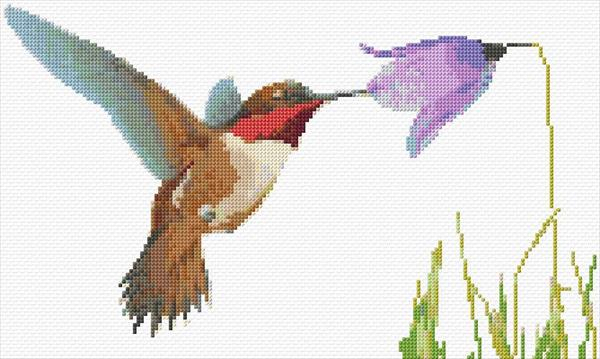 Hummingbird Cross Stitch Designs - Free Hummingbird Cross Stitch Pattern
