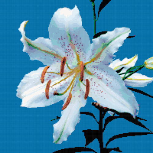 Lily Better Cross Stitch - Lily Cross Stitch Pattern Free