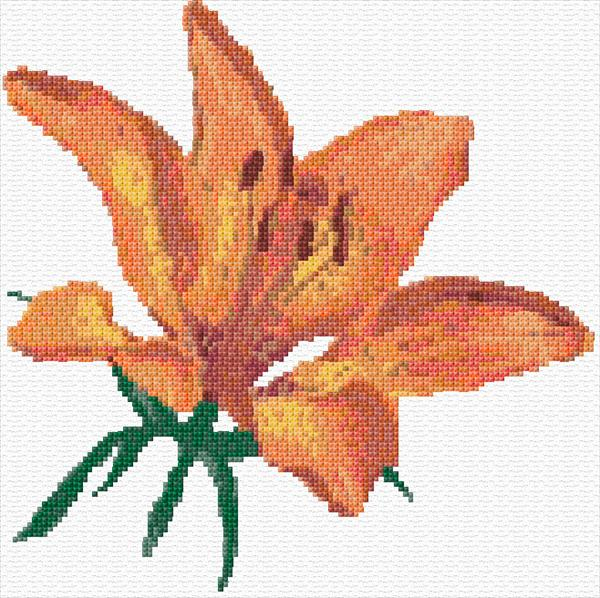 Lily Cross Stitch Designs - Stargazer Lily Cross Stitch Pattern Free