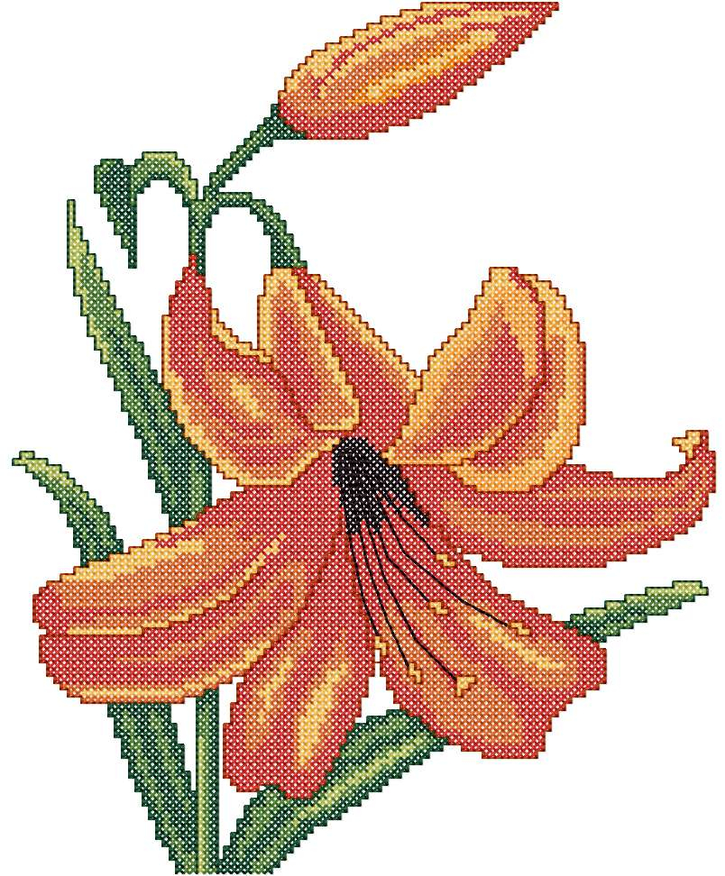 Lily Cross Stitch Pattern Free Lilipoints usj005  - Lily Cross Stitch Pattern Free