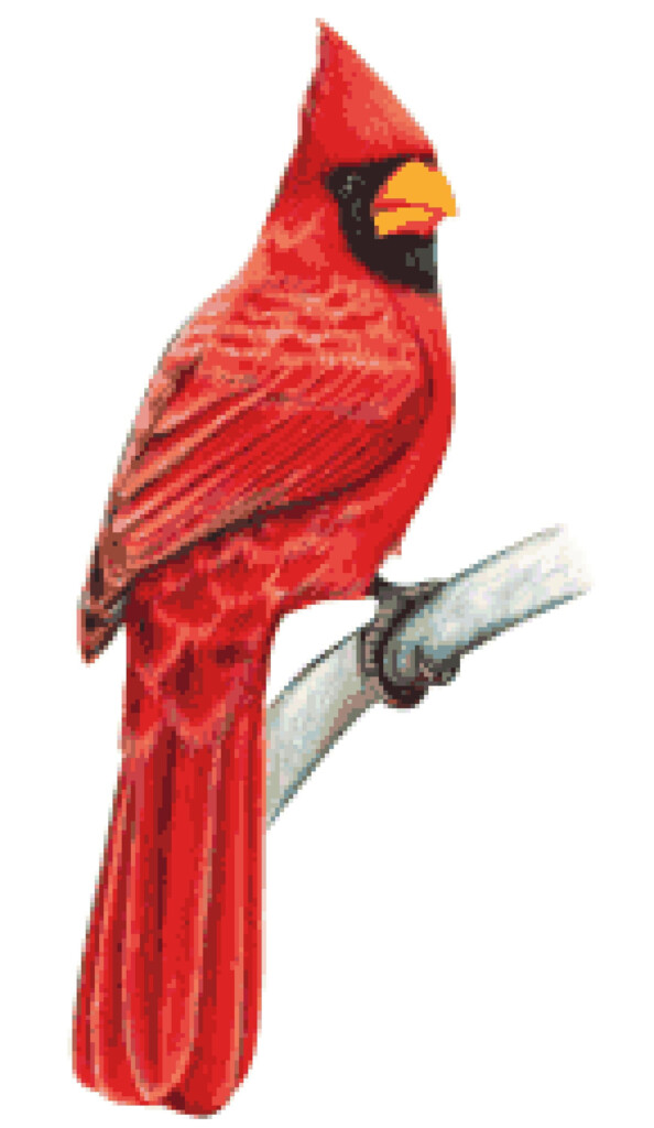 Pin On Products - Free Cross Stitch Cardinal Pattern