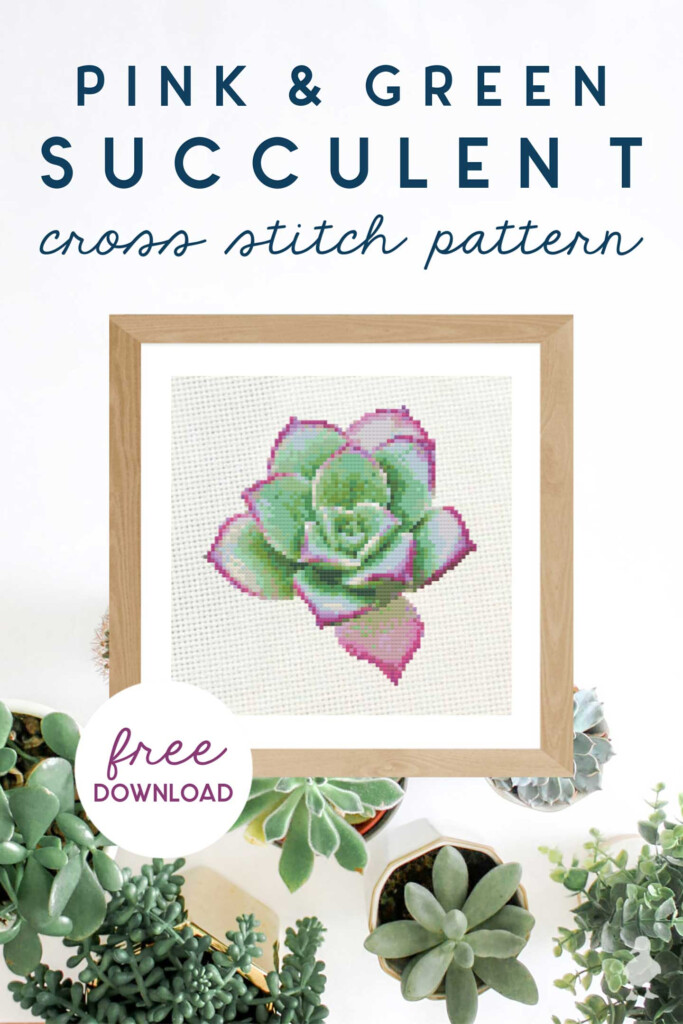 Pink Green Spring Succulent Cross Stitch Pattern Ugly Duckling House - Succulent Cross Stitch Patterns Free