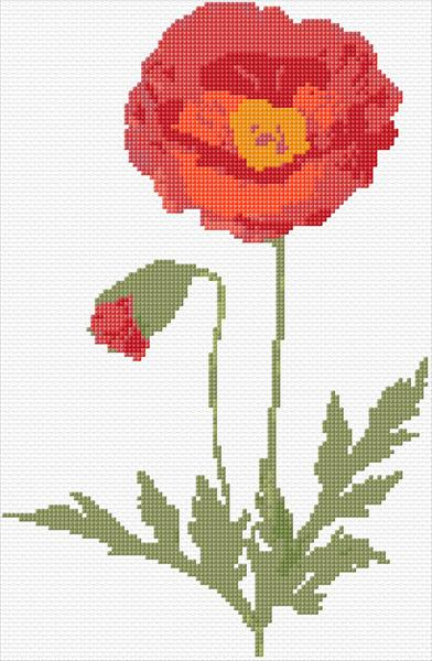 Poppy Cross Stitch Designs - Simple Poppy Cross Stitch Pattern Free