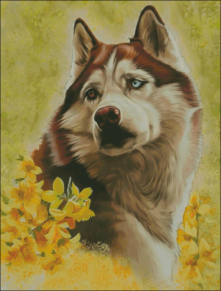 Red Siberian Husky Dog Blue Eye Counted Cross Stitch Pattern Etsy - Siberian Husky Cross Stitch Pattern