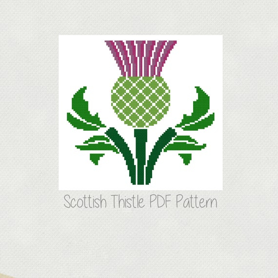 Scottish Thistle Cross Stitch Pattern Purple Thistle Flower Etsy - Easy Scottish Cross Stitch Patterns