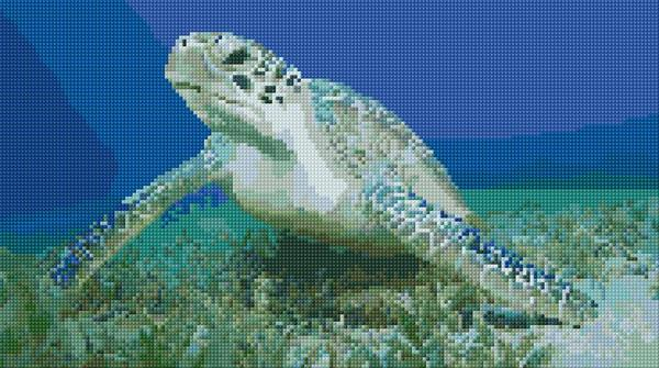 Sea Turtle Cross Stitch Designs - Sea Turtle Cross Stitch Pattern