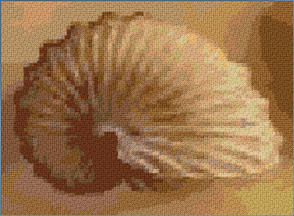 Seashell Cross Stitch Designs - Seashell Cross Stitch Pattern Free