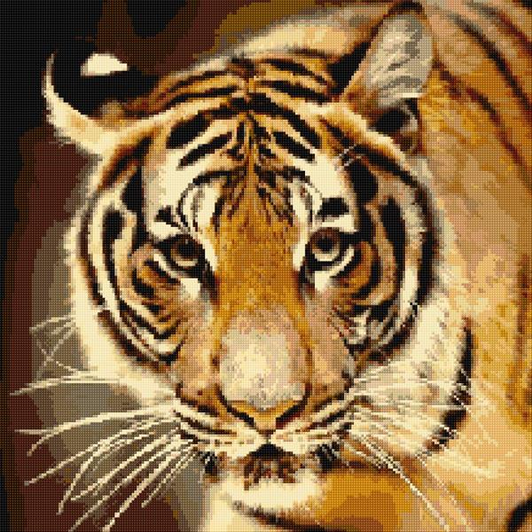 Tiger Cross Stitch Designs - Eye Of The Tiger Cross Stitch Pattern