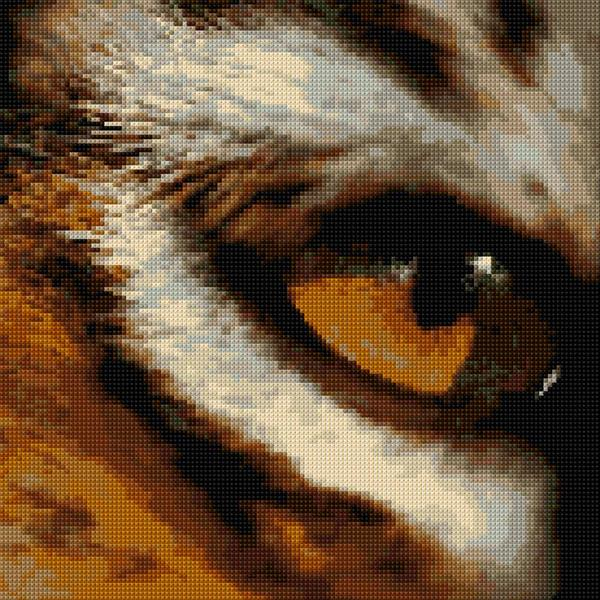 Tiger Eye Cross Stitch Designs - Eye Of The Tiger Cross Stitch Pattern