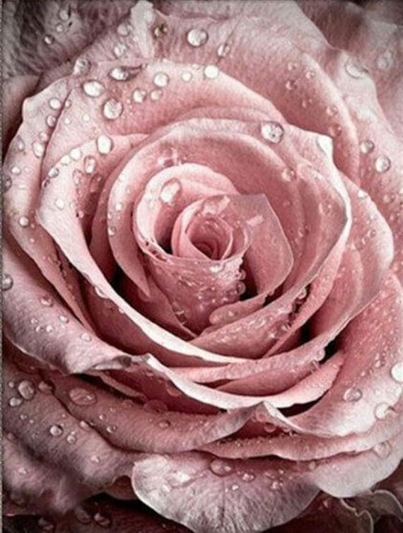 Vintage Rose Cross Stitch Pattern Etsy - Vintage Rose Cross Stitch Pattern