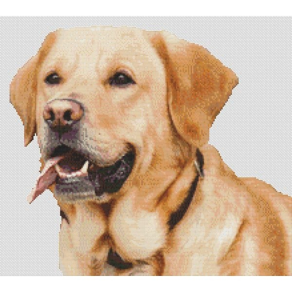 Yellow Lab Cross Stitch Pattern III DogShoppe - Yellow Lab Cross Stitch Pattern