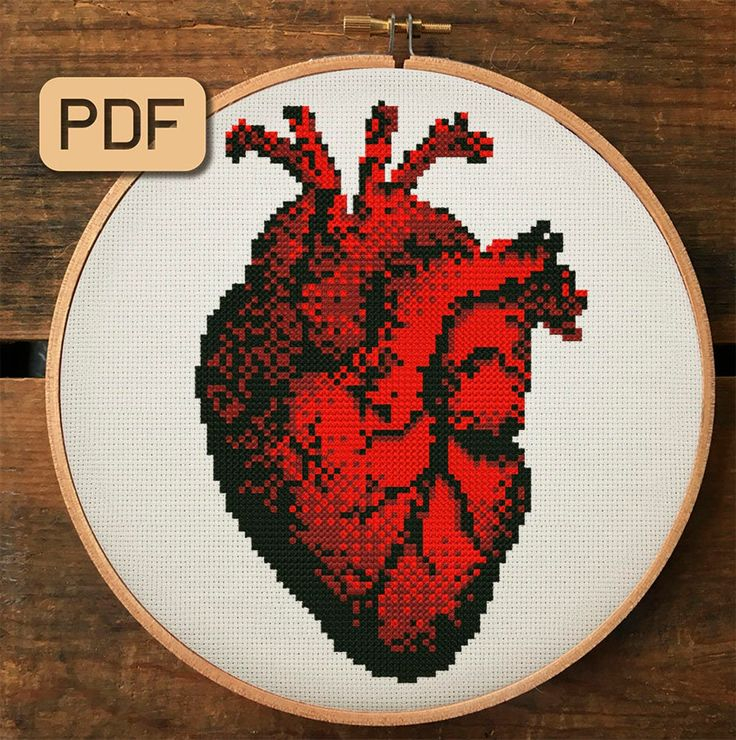 Anatomical Heart Cross Stitch Pattern Human Heart Cross Etsy Cross  - Anatomical Heart Cross Stitch Pattern Free