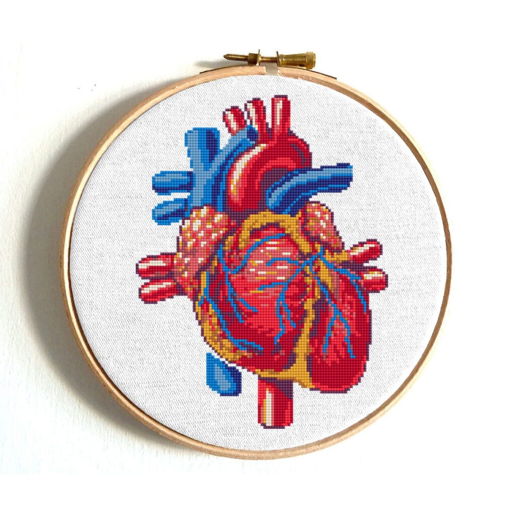 Anatomical Heart Cross Stitch Pattern Human Heart Embroidery Modern  - Anatomical Heart Cross Stitch Pattern Free