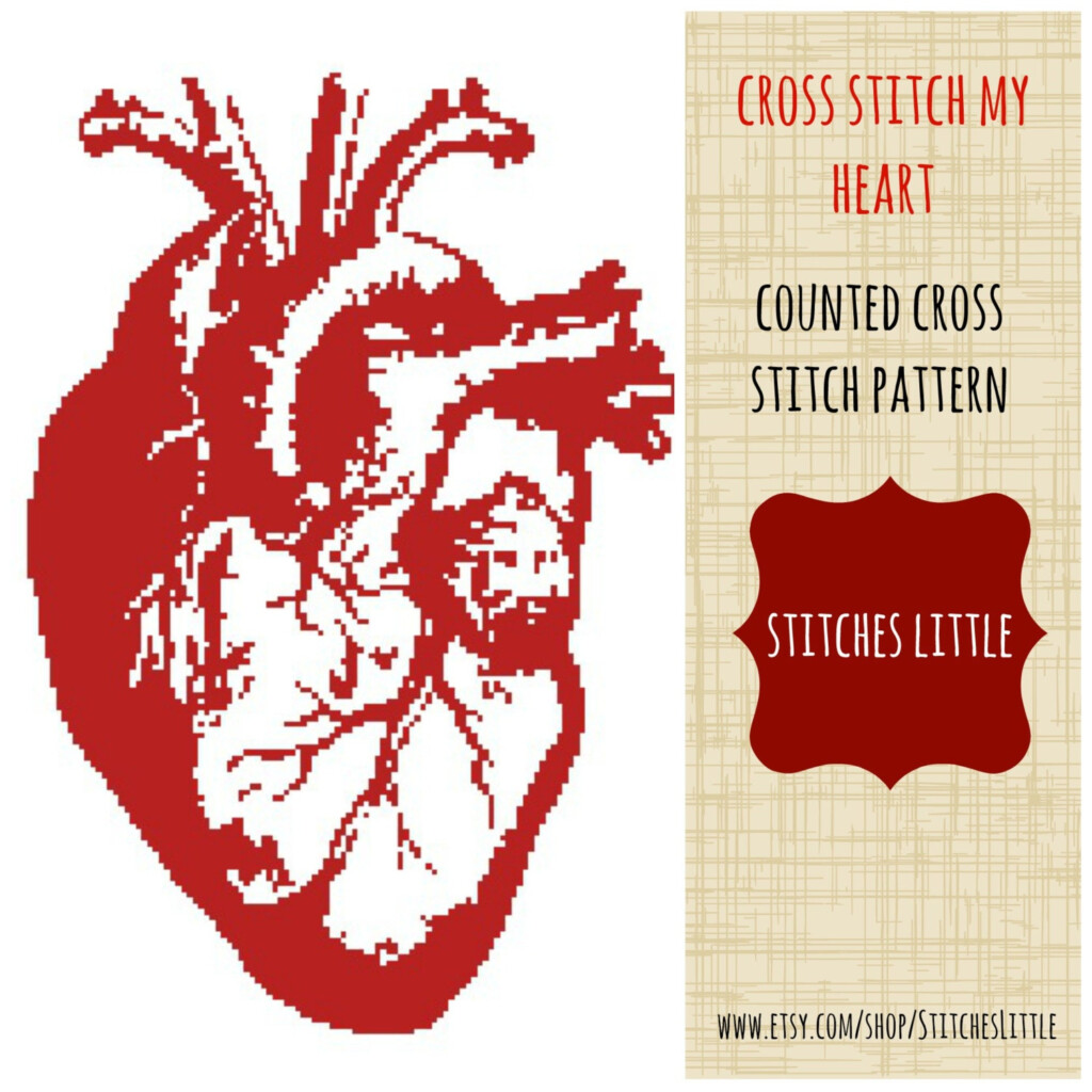 Anatomical Heart Cross Stitch Pattern Modern Cross Stitch - Anatomical Heart Cross Stitch Pattern Free