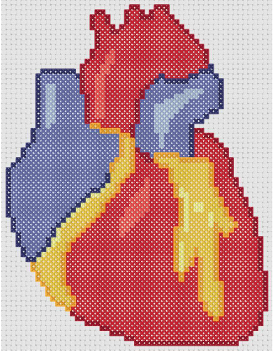Anne s Handspun Anatomical Heart Free Cross Stitch Pattern - Anatomical Heart Cross Stitch Pattern Free
