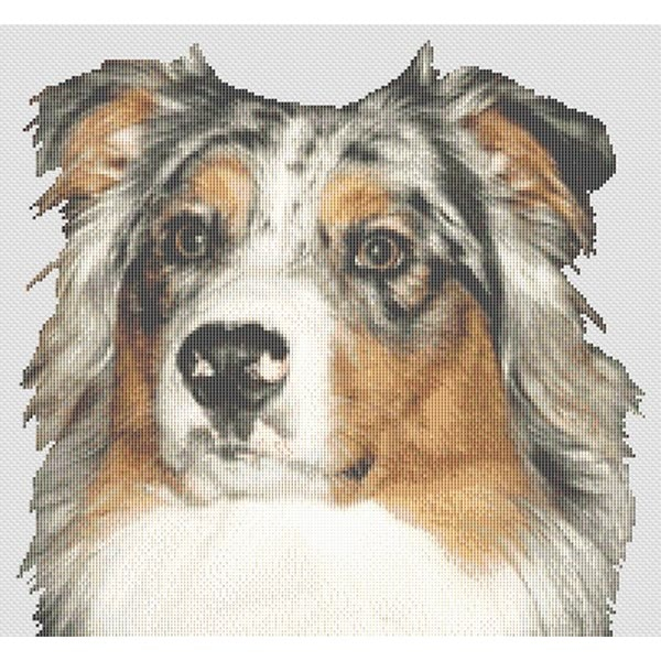 Australian Shepherd Cross Stitch Pattern Blue Merle DogShoppe - Australian Shepherd Cross Stitch Pattern
