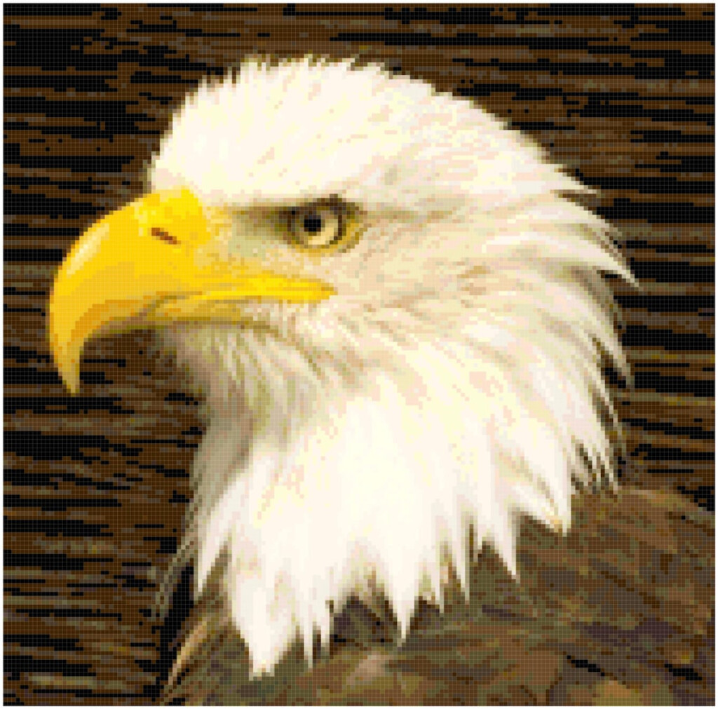 Bald Eagle Counted Cross Stitch Pattern Chart PDF Download By Stitching  - Eagle Counted Cross Stitch Patterns