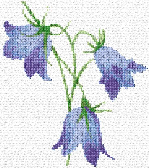 Blue Bell Flowers Cross Stitch Designs - Bluebell Cross Stitch Pattern Free