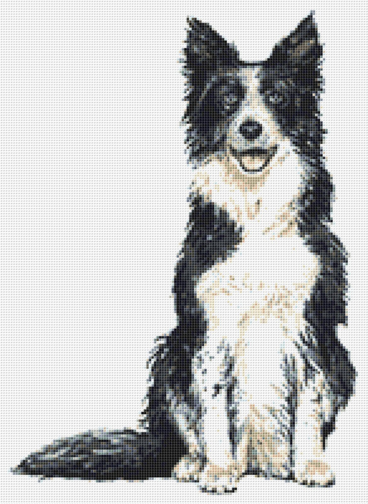 Border Collie Cross Stitch Pattern 9 Instant PDF Download Etsy - Border Collie Cross Stitch Pattern Free