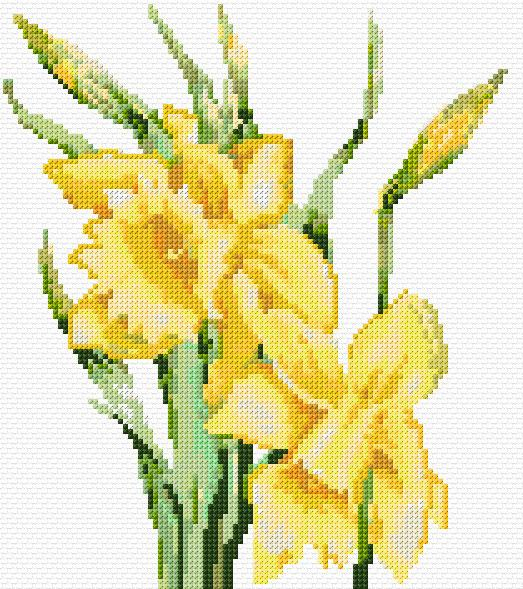 Daffodils Cross Stitch Designs - Cross Stitch Daffodil Pattern Free