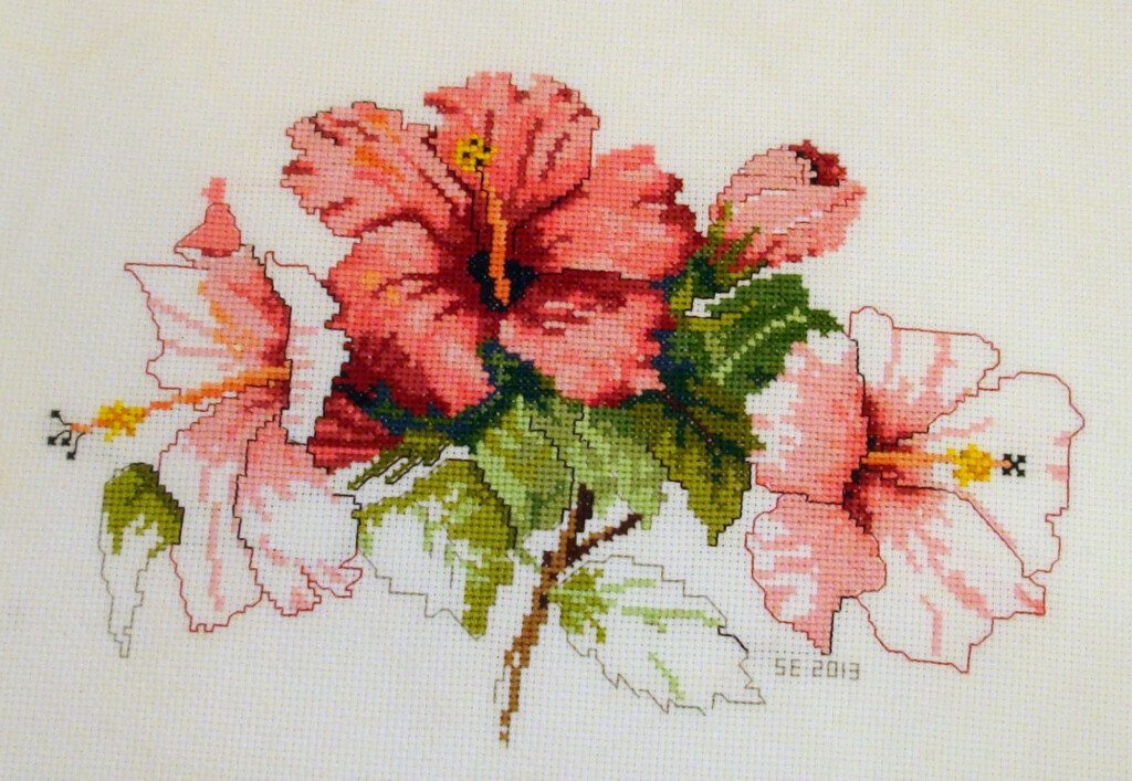 Everyday Art Work Hibiscus Cross Stitch - Hibiscus Flower Cross Stitch Pattern