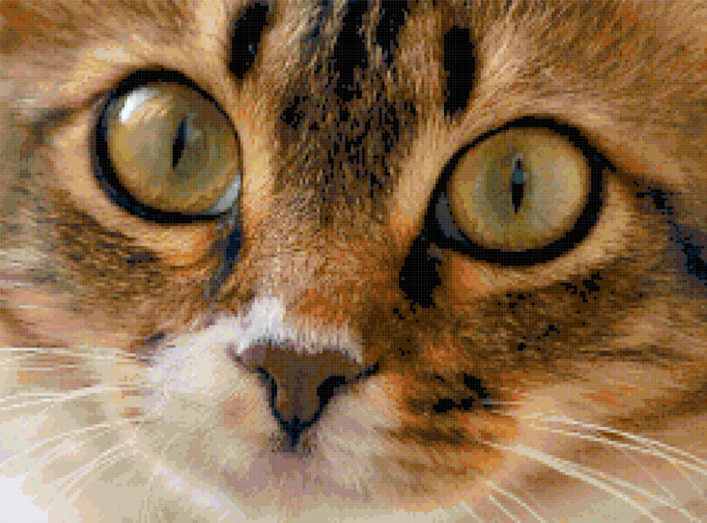 Free Cross Stitch Patterns Cat - Free Cross Stitch Patterns Cats