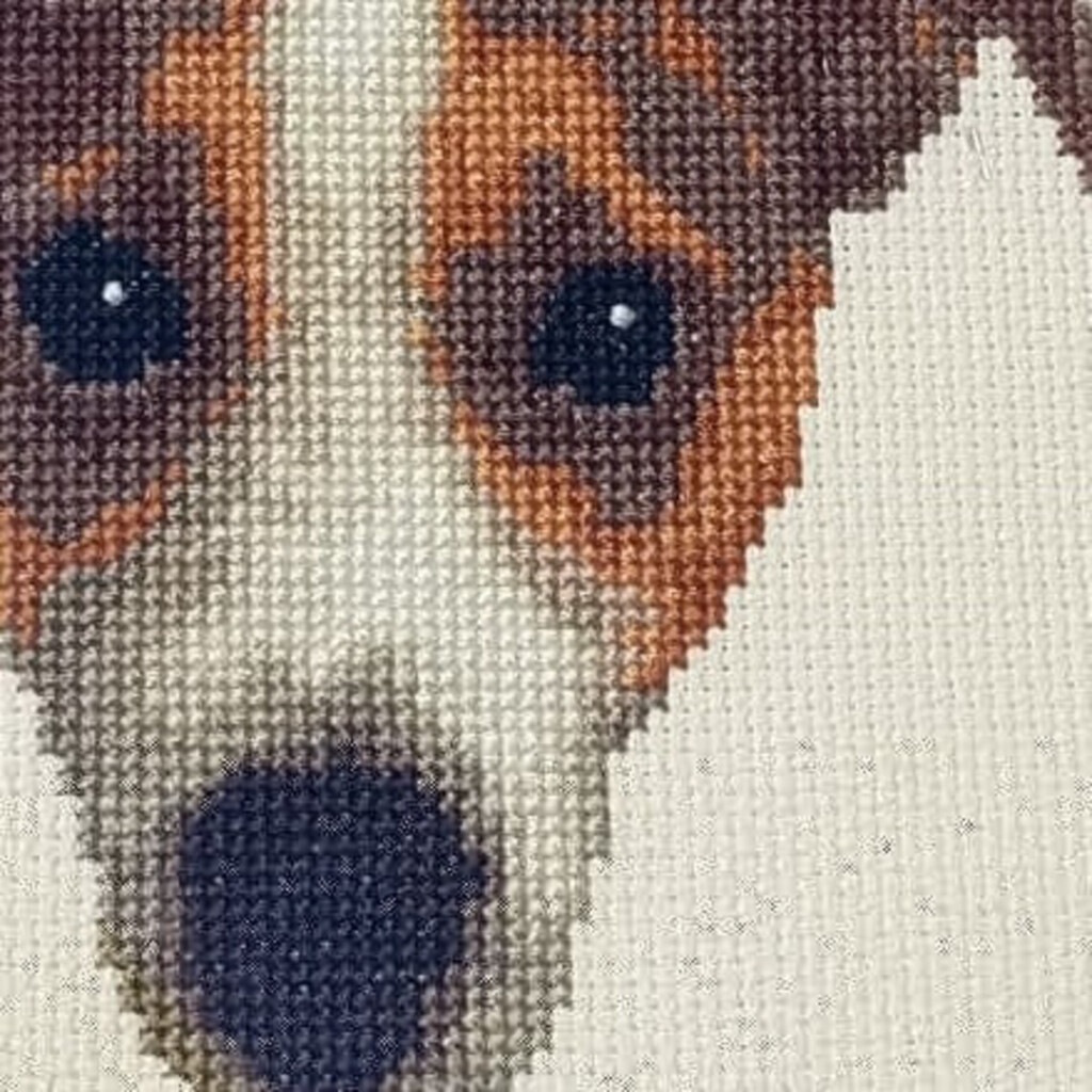 Jack Russell Terrier Pet Portrait Cross Stitch Pattern Digital Etsy - Jack Russell Terrier Cross Stitch Pattern