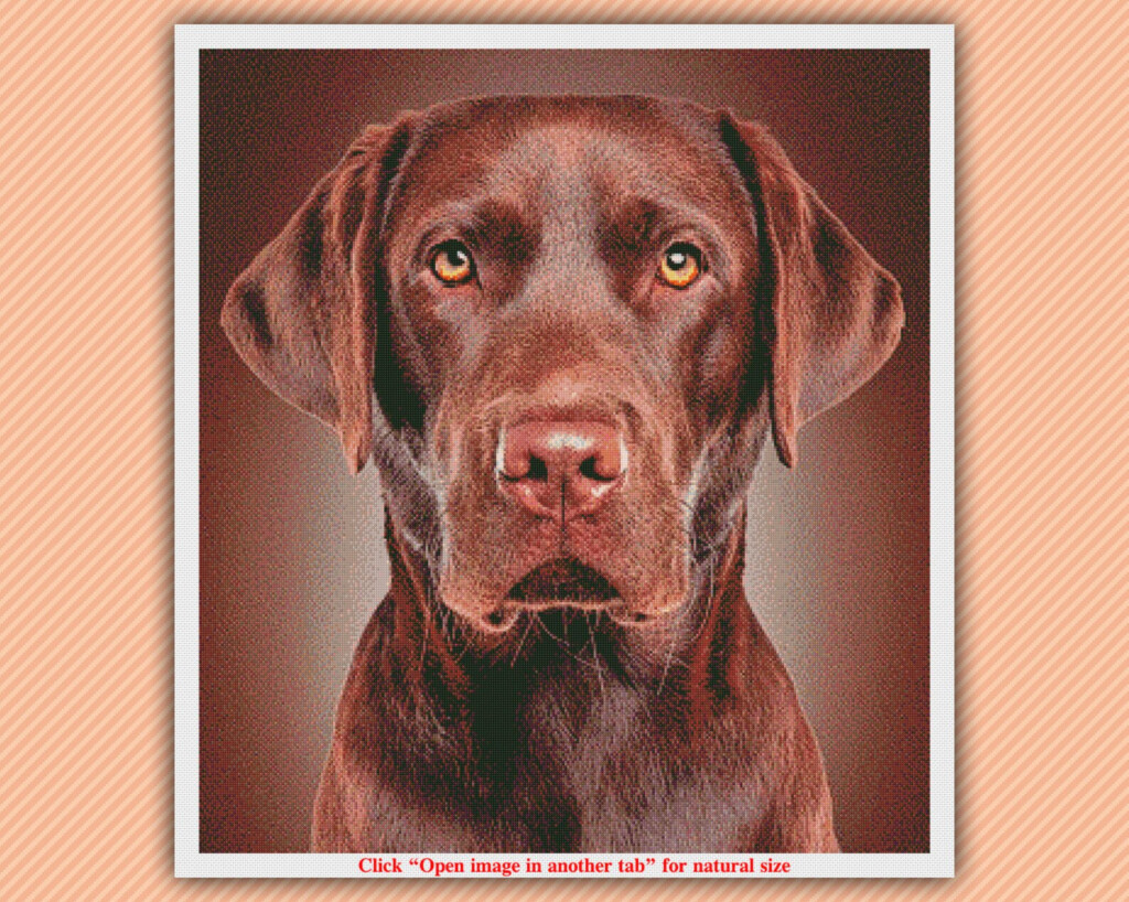 Labrador Retriever Cross Stitch Pattern Size 2 Counted Etsy - Labrador Retriever Cross Stitch Patterns