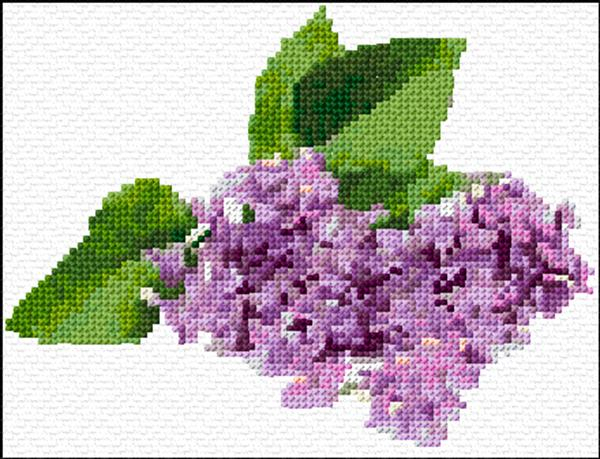 Lilac Cross Stitch Designs - Free Lilac Cross Stitch Pattern