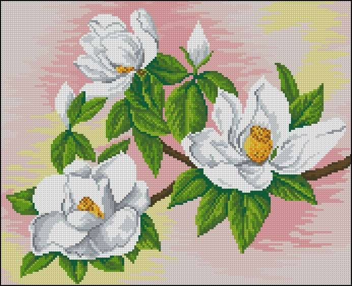 Magnolia Grandiflora cross stitch Design Free Cross stitch Patterns - Magnolia Cross Stitch Pattern Free