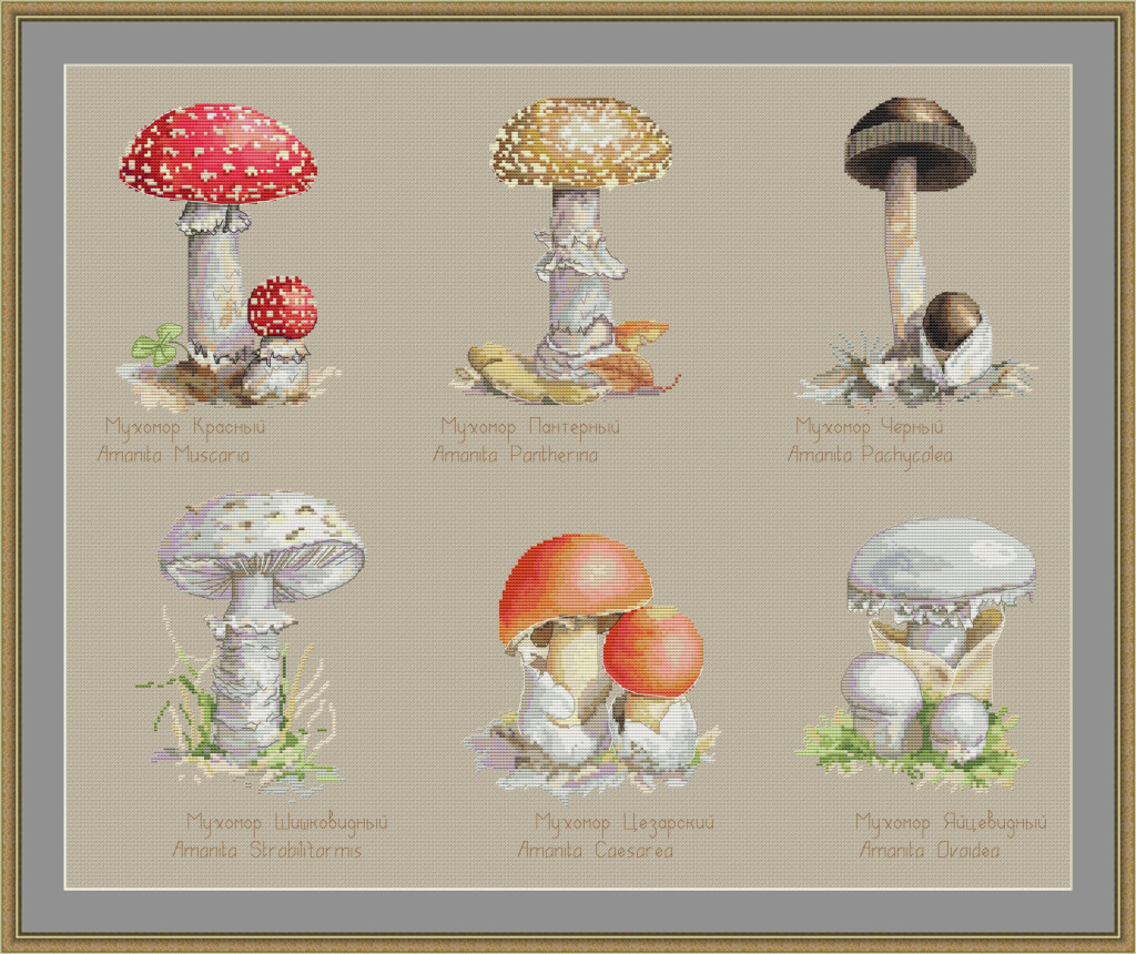 Mushroom Cross stitch Pattern PDF Instant Download Amanita Etsy - Mushroom Cross Stitch Pattern Free